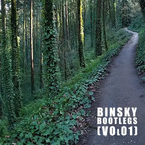 First Aid Kit - Winter Is All Over You (Sweeper Remix)(Binsky Edit)