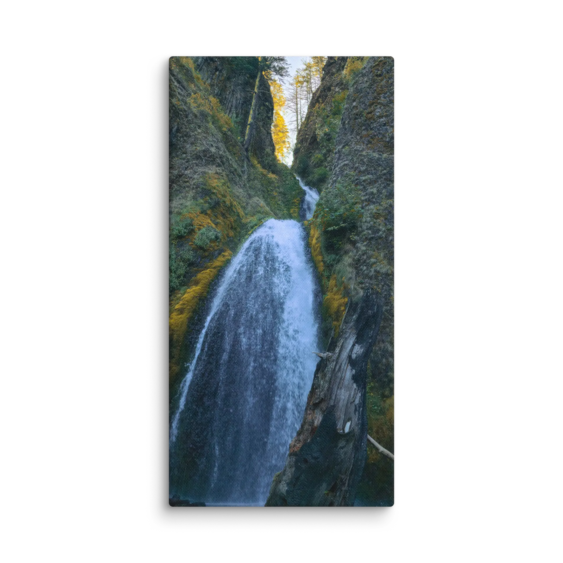 Wahkeena Trail 420 Print #1 - Image 2