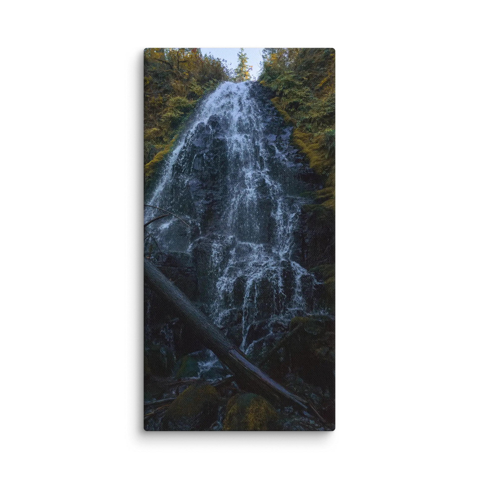 Wahkeena Trail 420 Print # 2 - Image 2