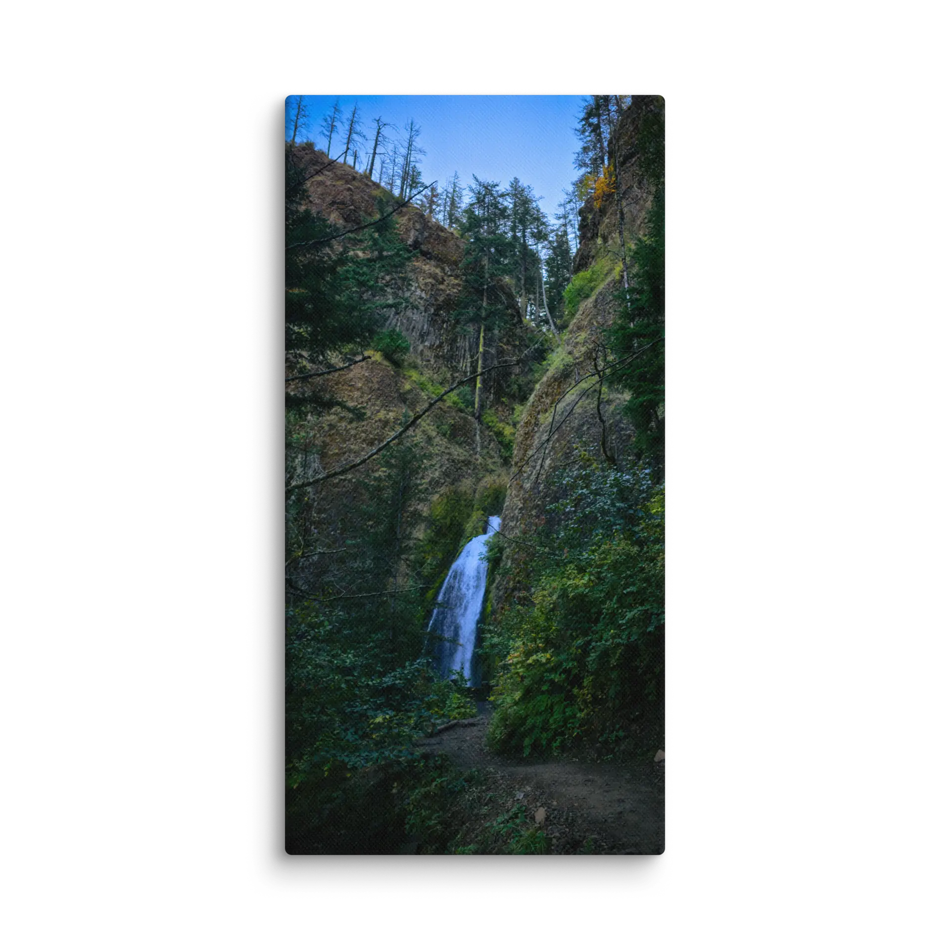 Wahkeena Trail 420 Print # 3 - Image 2