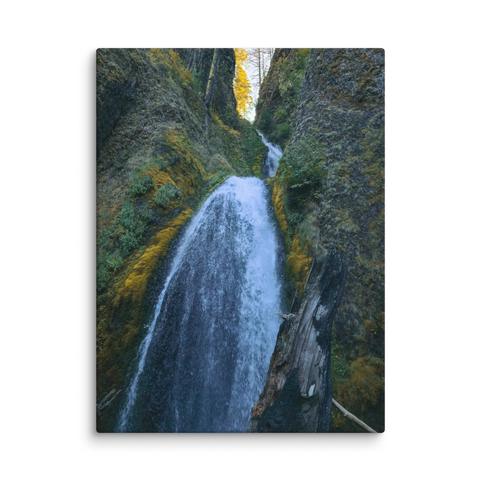 Wahkeena Trail 420 Print #1