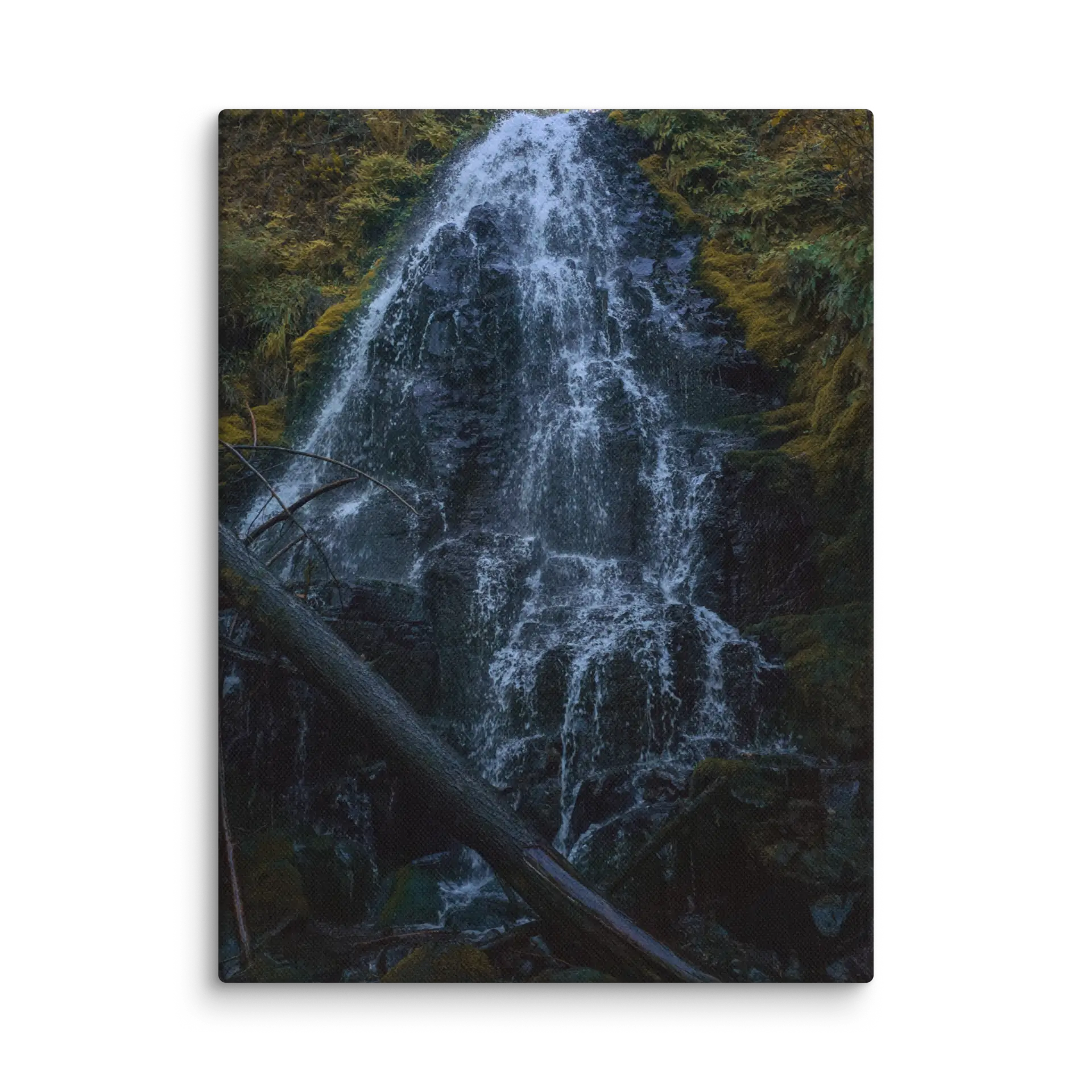 Wahkeena Trail 420 Print # 2