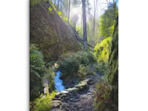 Wahkeena Trail 420 Print # 4