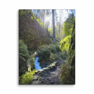 Wahkeena Trail 420 Print # 4