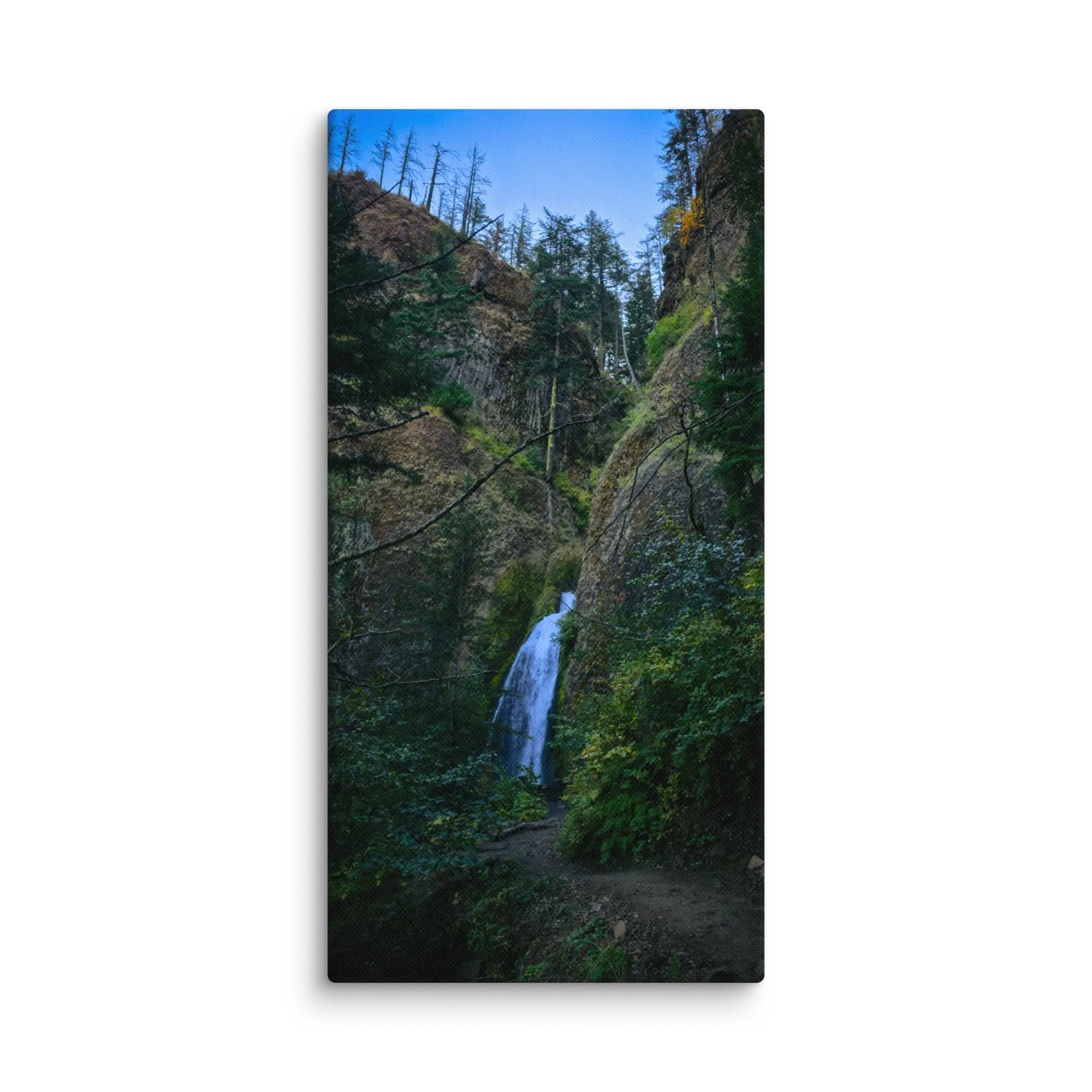 Wahkeena Trail 420 Print # 3 - Image 3