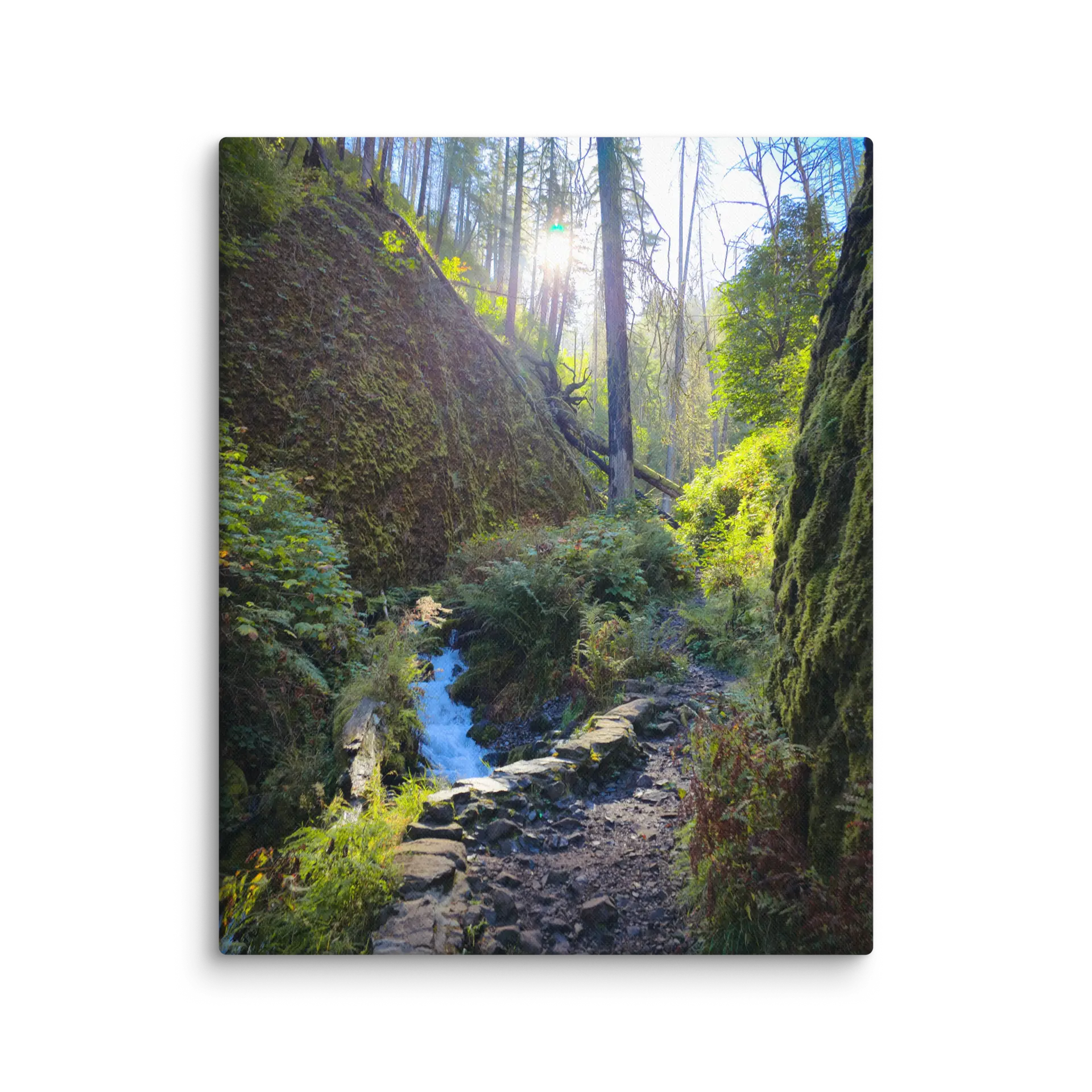 Wahkeena Trail 420 Print # 4 - Image 18