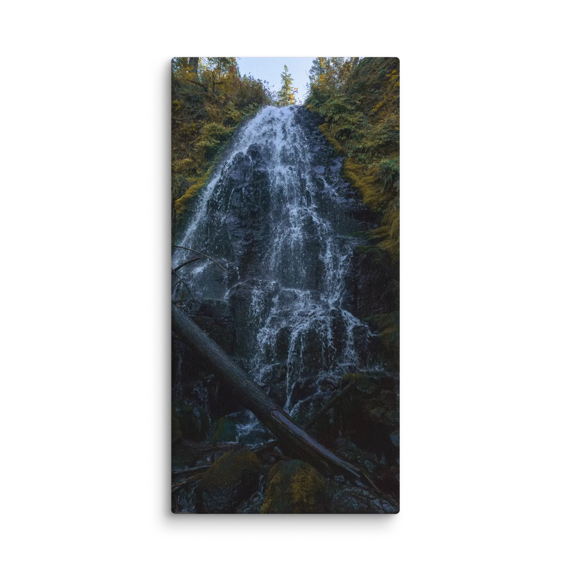 Wahkeena Trail 420 Print # 2 - Image 5