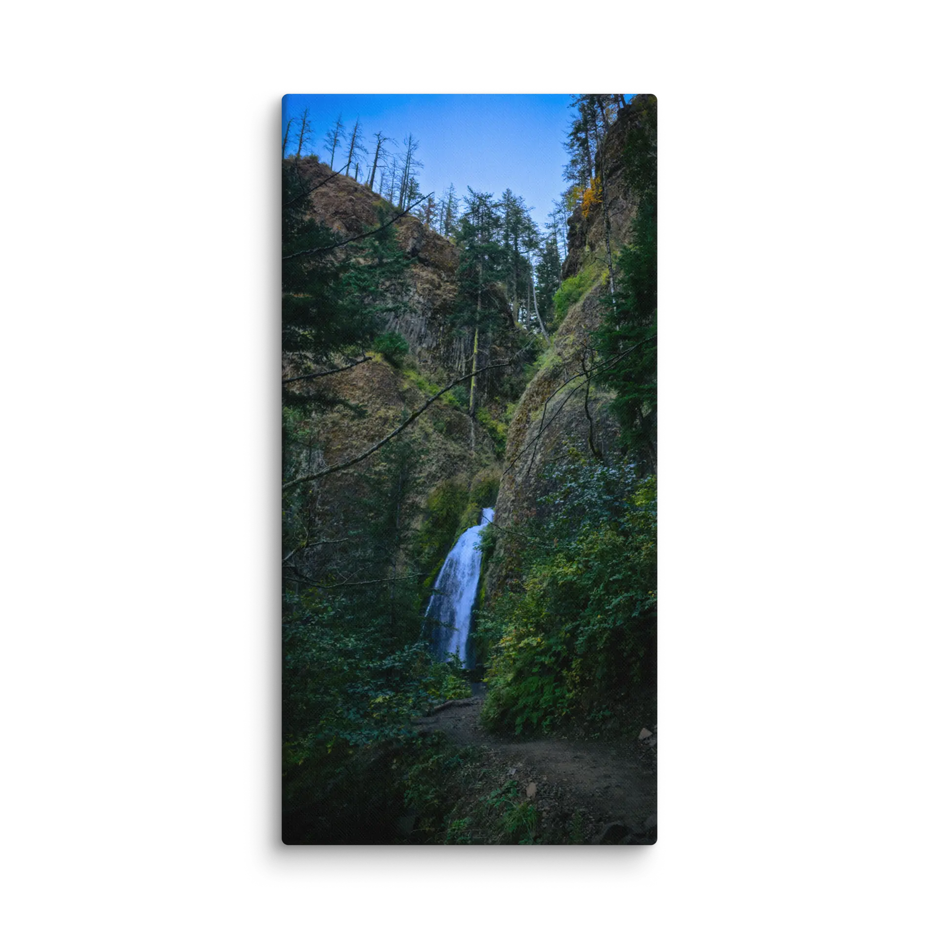 Wahkeena Trail 420 Print # 3 - Image 5