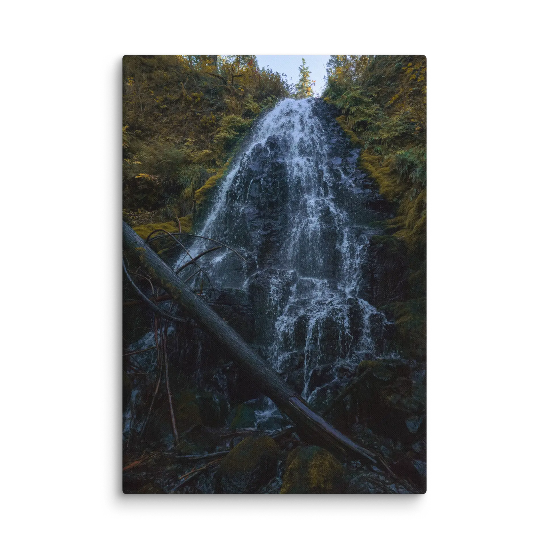 Wahkeena Trail 420 Print # 2 - Image 7