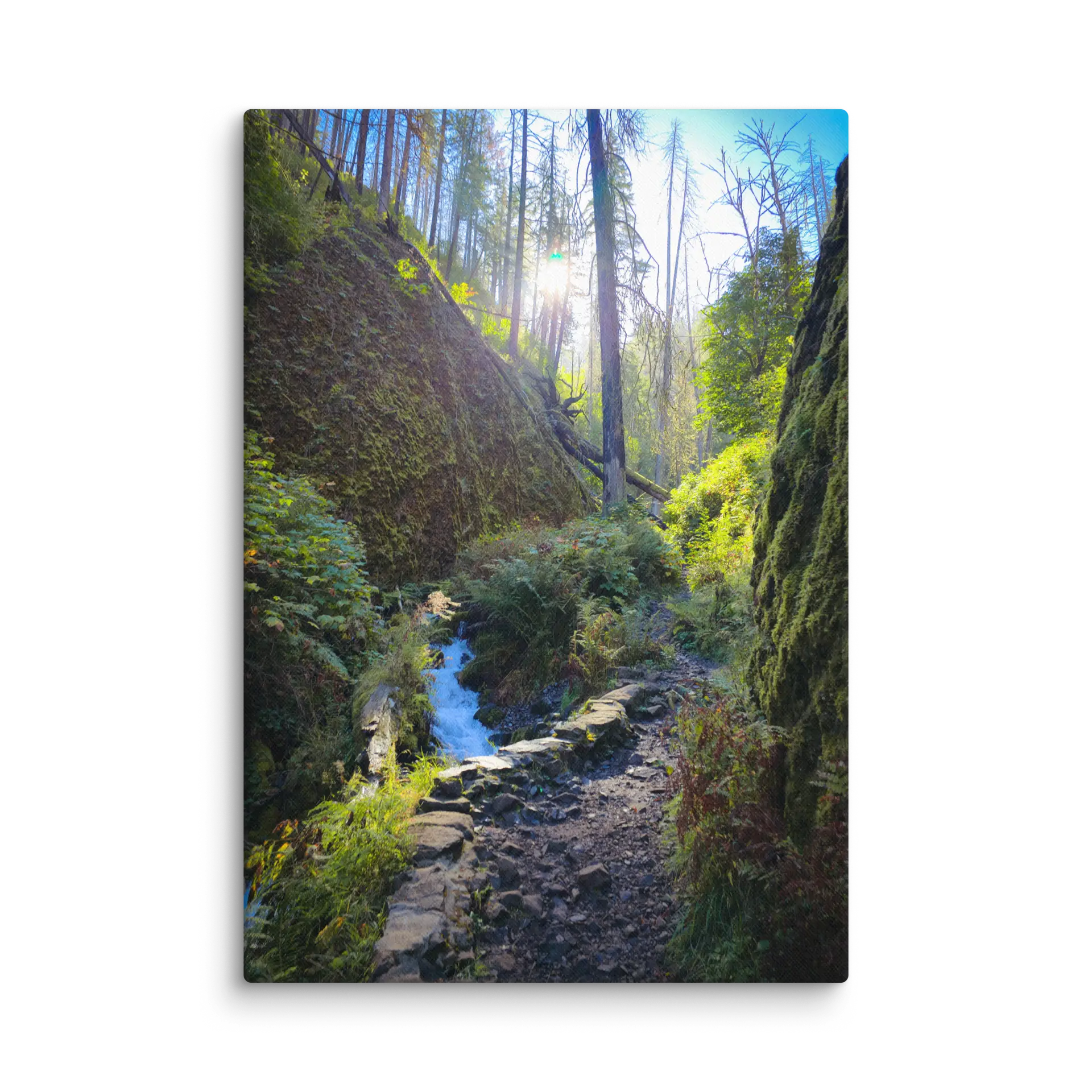 Wahkeena Trail 420 Print # 4 - Image 7