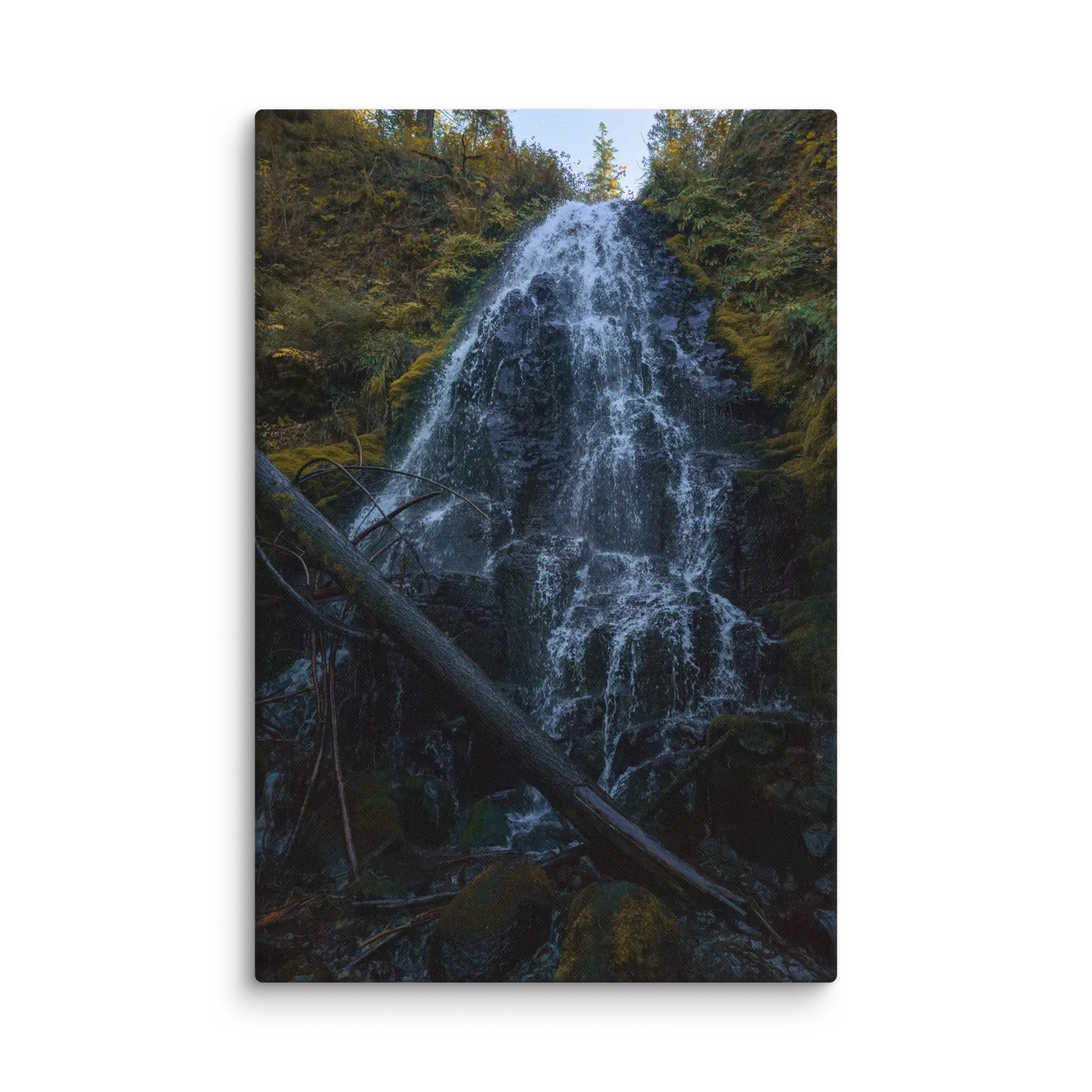 Wahkeena Trail 420 Print # 2 - Image 8