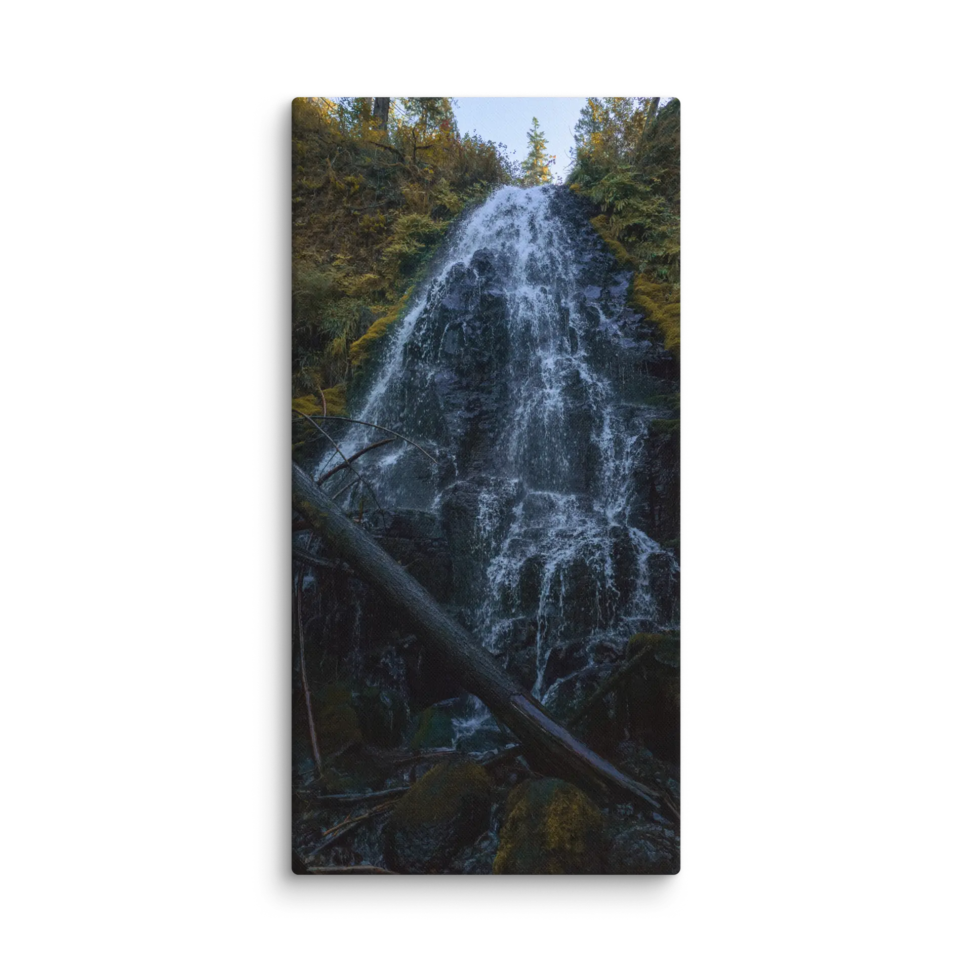 Wahkeena Trail 420 Print # 2 - Image 9