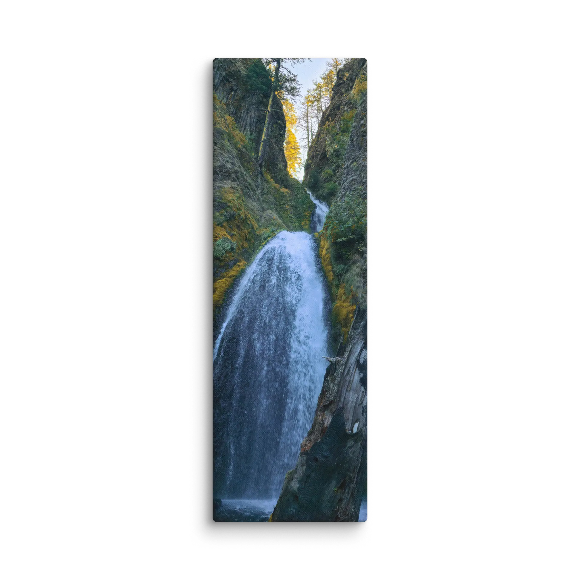 Wahkeena Trail 420 Print #1 - Image 12