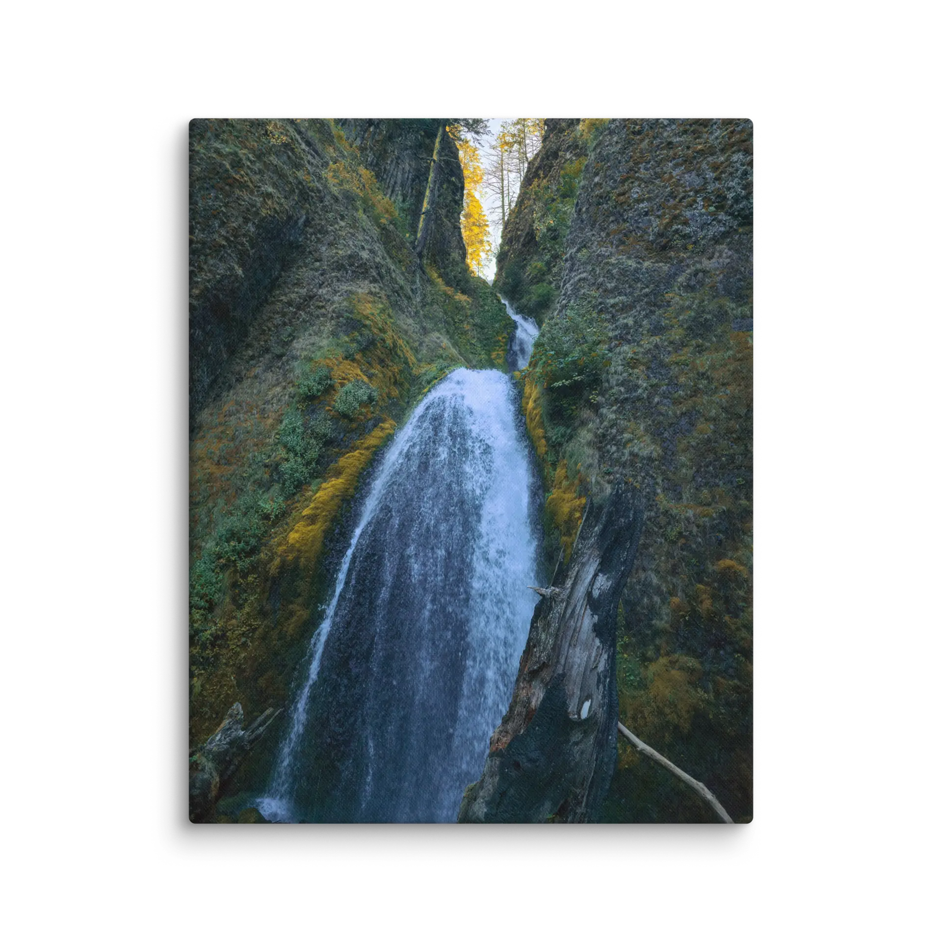 Wahkeena Trail 420 Print #1 - Image 14