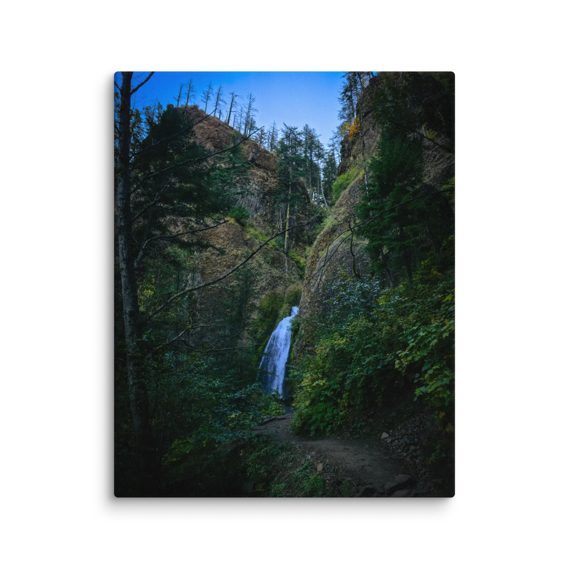 Wahkeena Trail 420 Print # 3 - Image 11