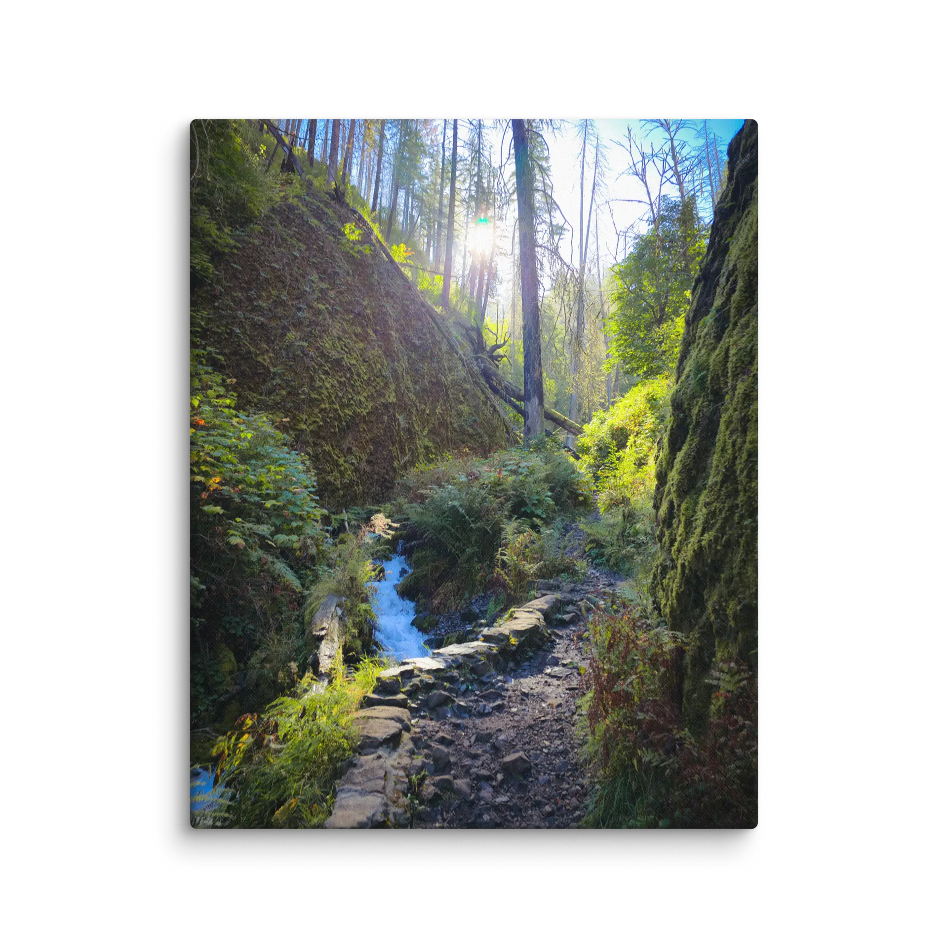 Wahkeena Trail 420 Print # 4 - Image 11