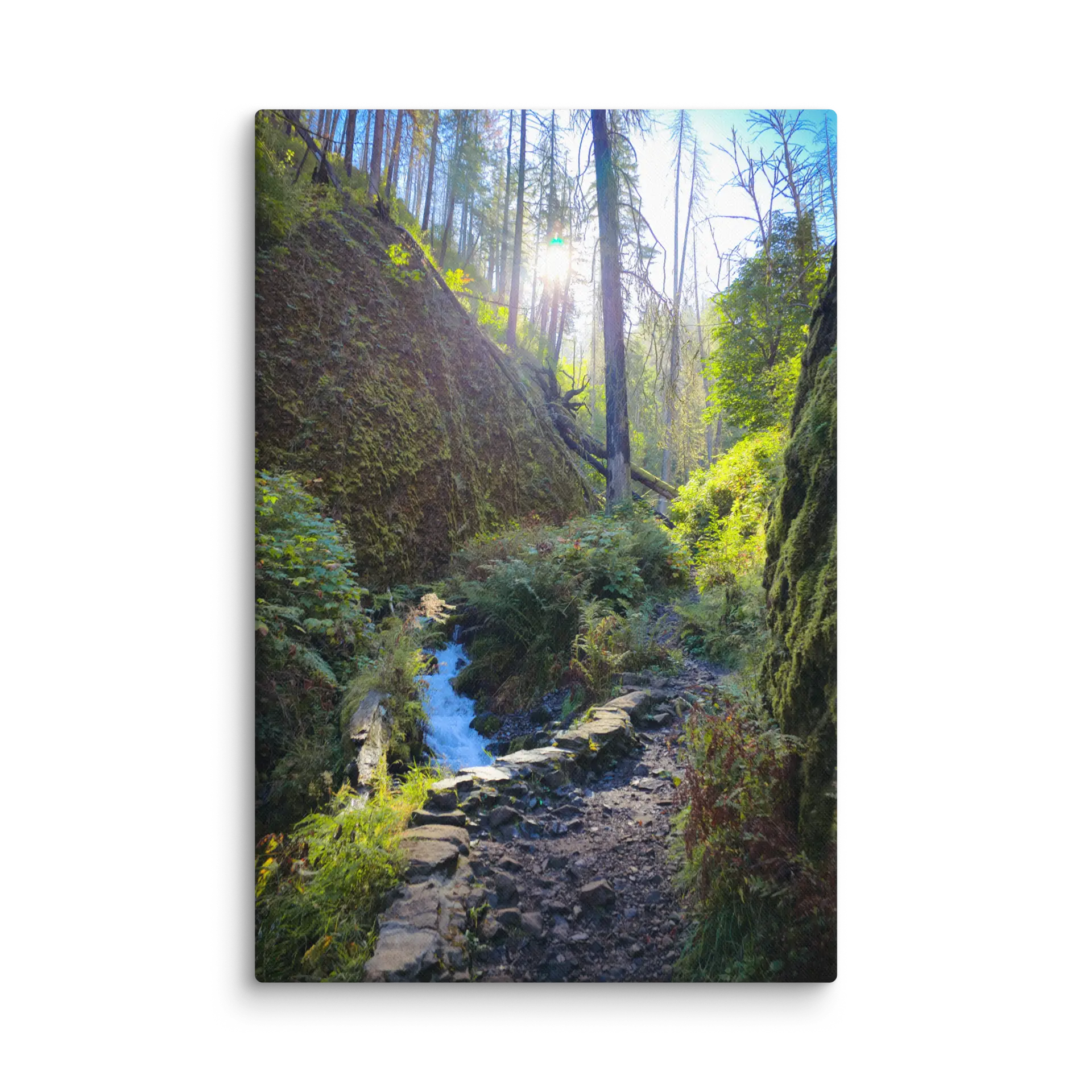 Wahkeena Trail 420 Print # 4 - Image 19