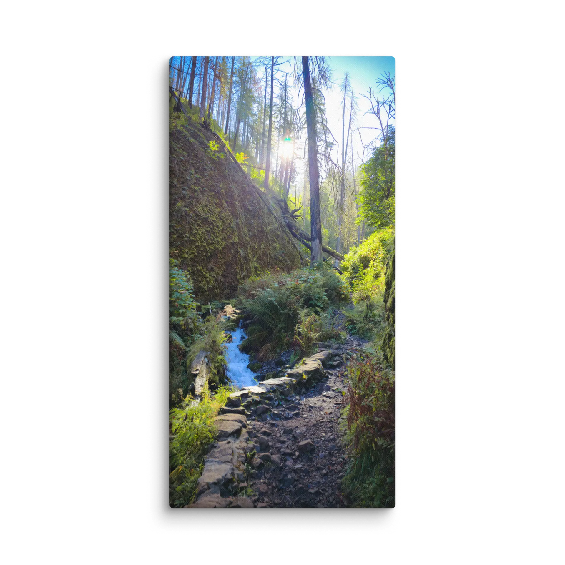 Wahkeena Trail 420 Print # 4 - Image 12