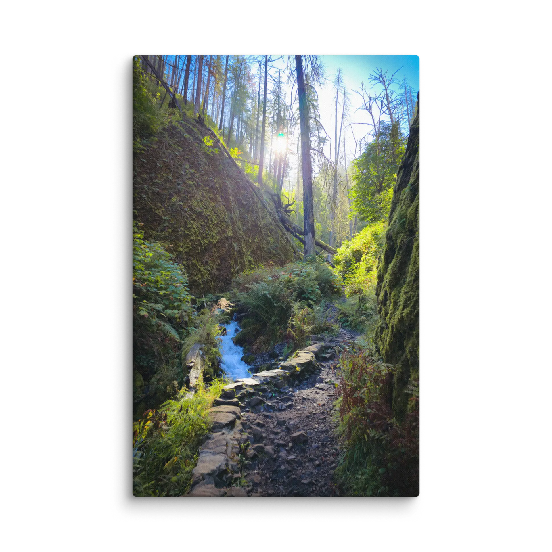 Wahkeena Trail 420 Print # 4 - Image 13