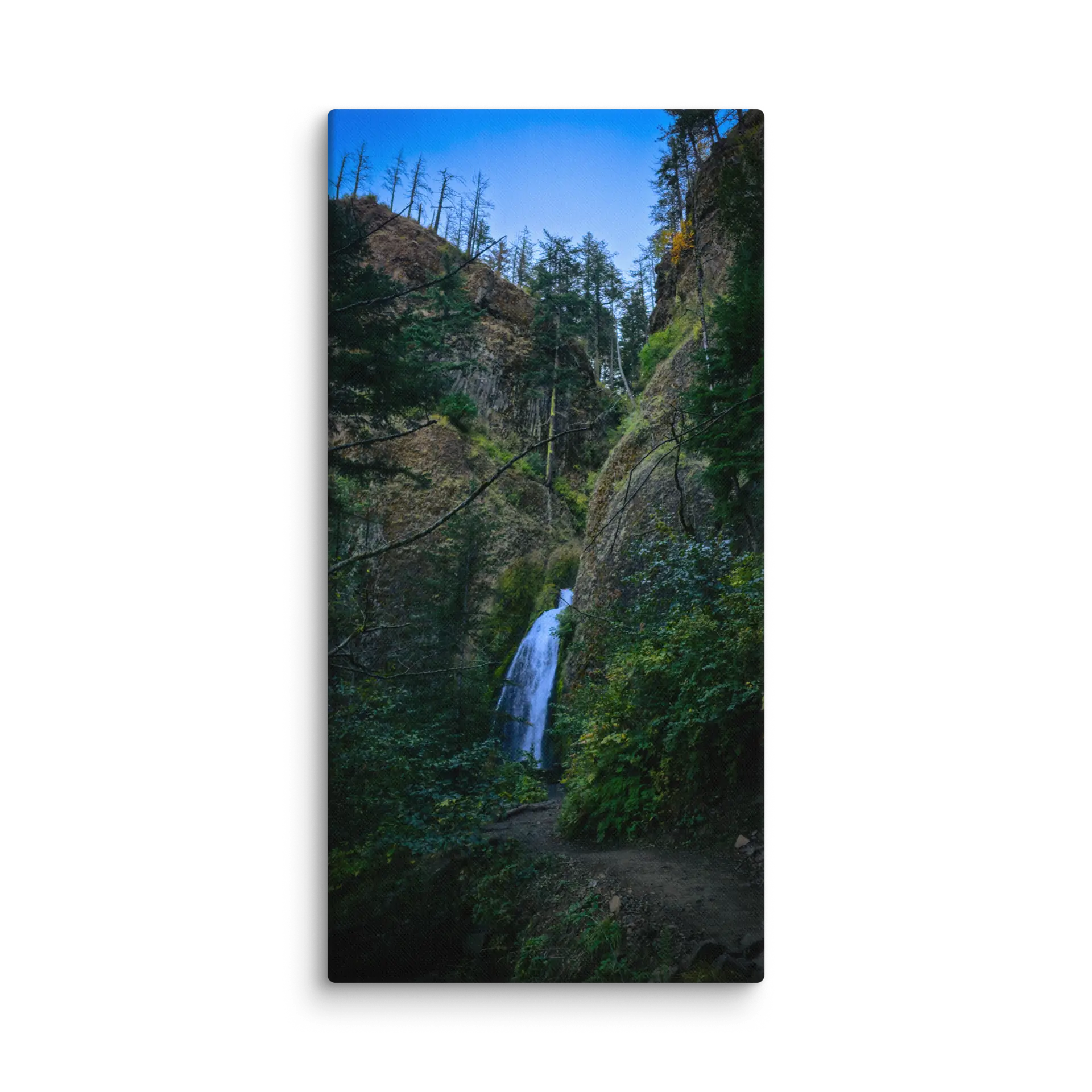 Wahkeena Trail 420 Print # 3 - Image 14