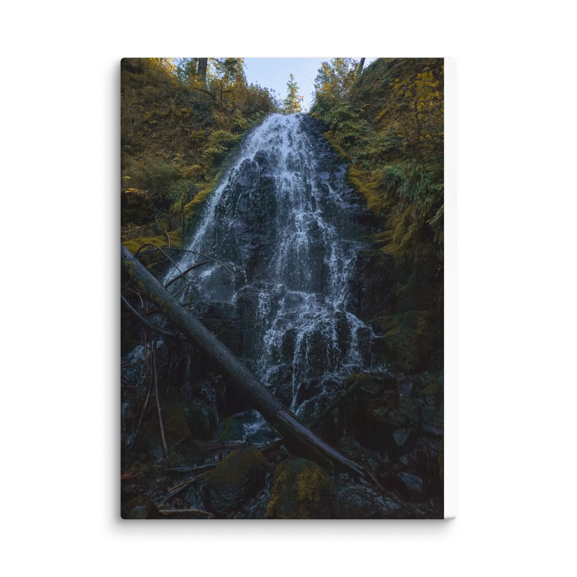 Wahkeena Trail 420 Print # 2 - Image 16