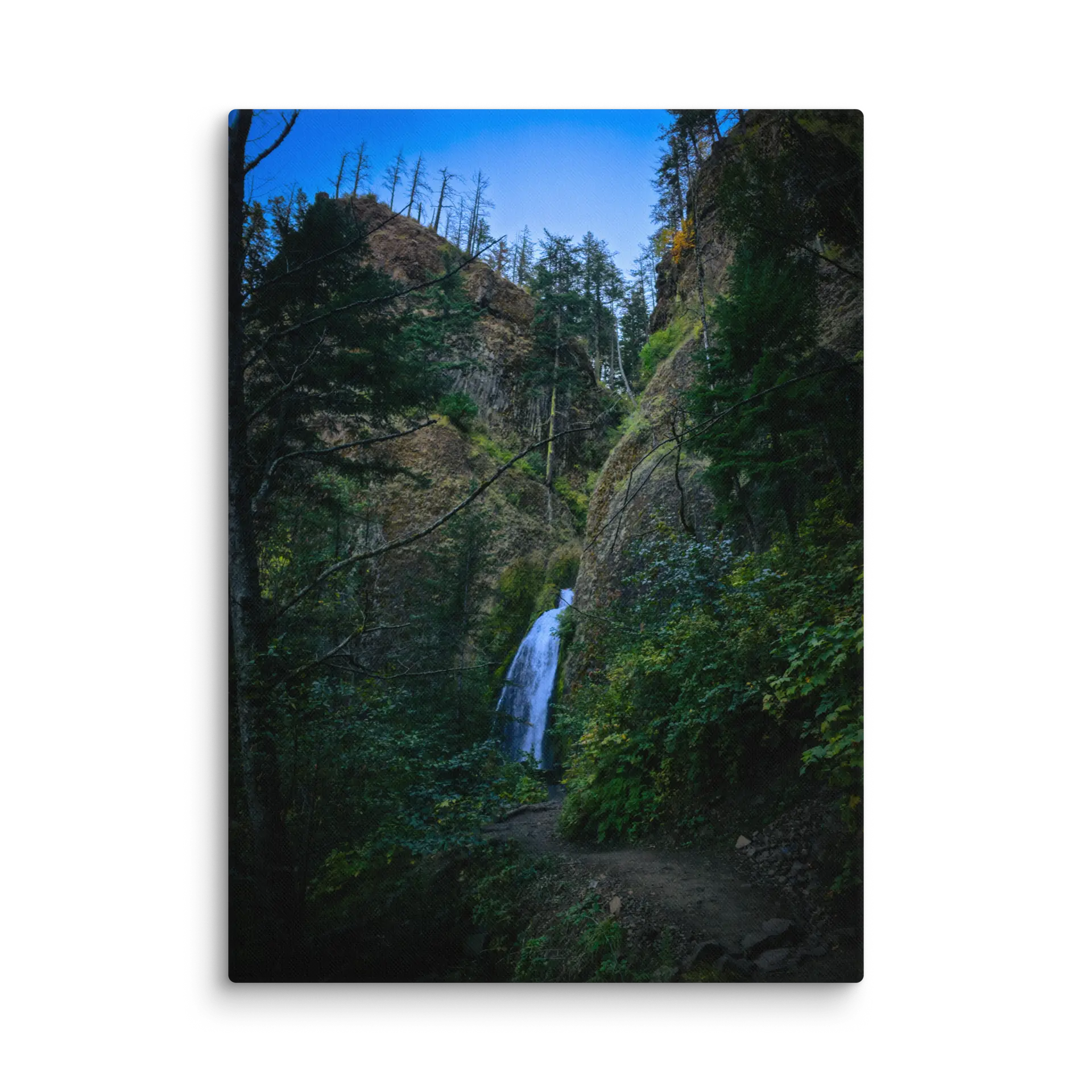 Wahkeena Trail 420 Print # 3 - Image 16
