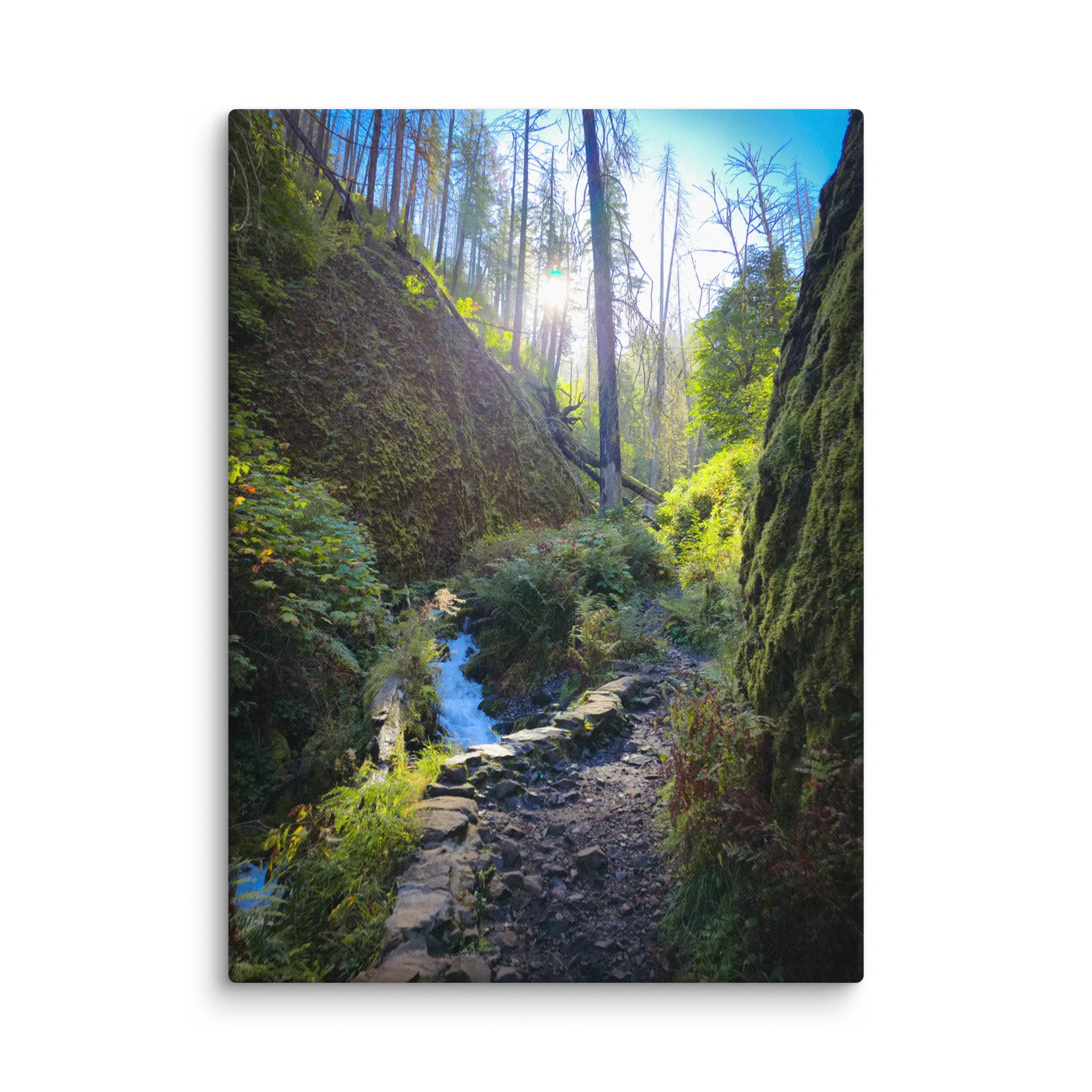 Wahkeena Trail 420 Print # 4 - Image 16
