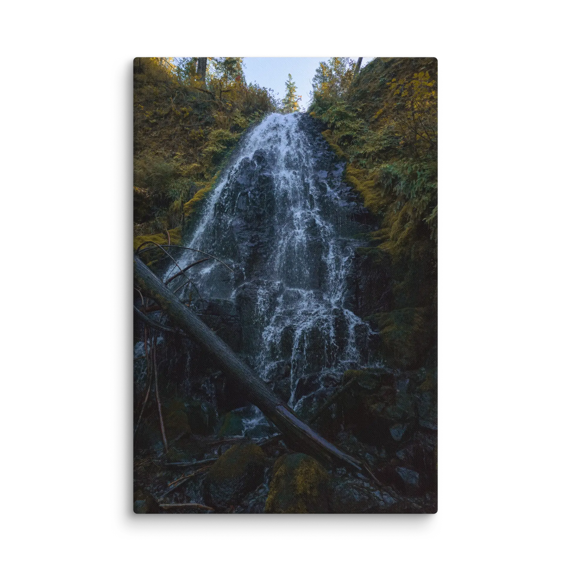 Wahkeena Trail 420 Print # 2 - Image 17