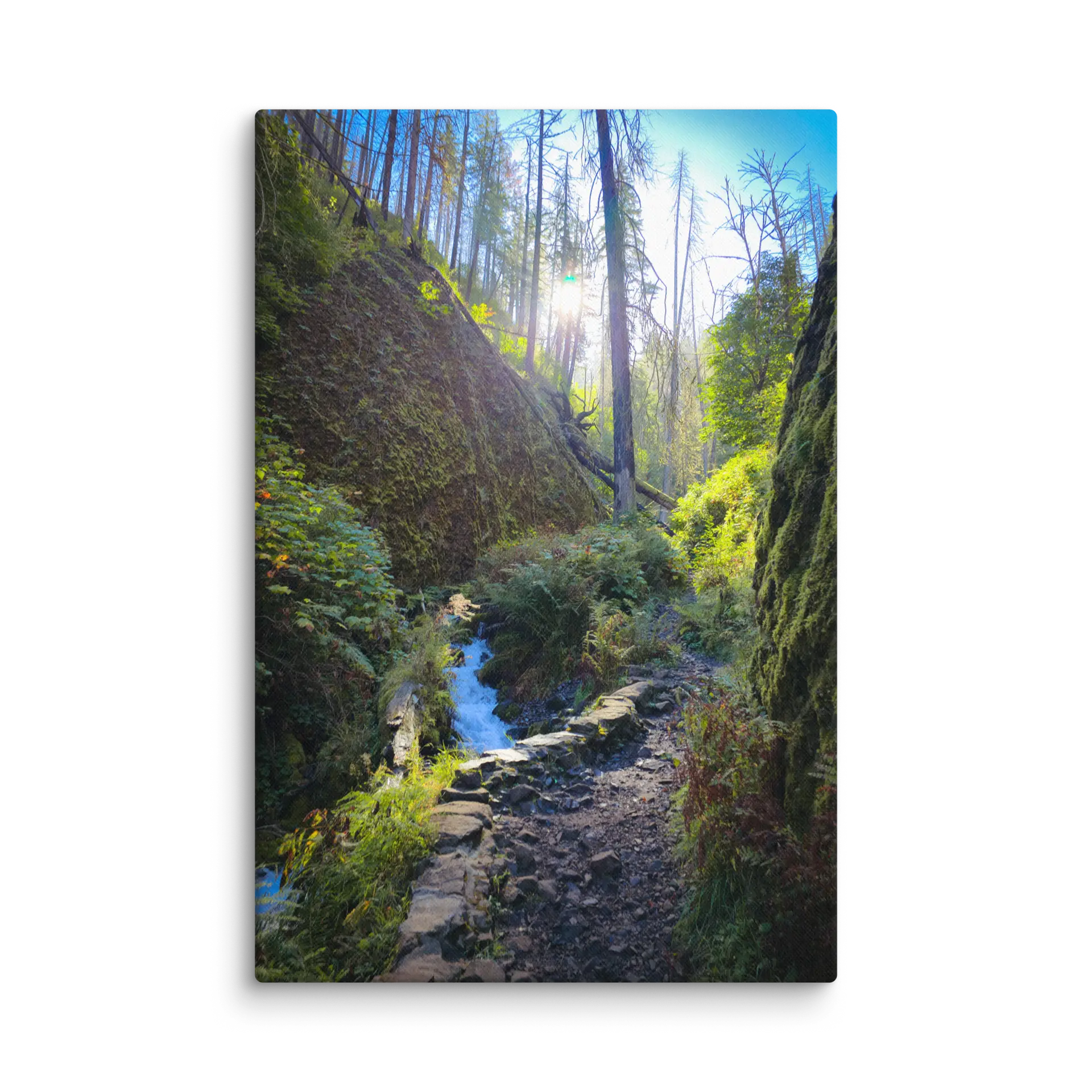 Wahkeena Trail 420 Print # 4 - Image 17